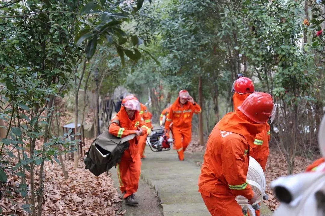 清明时节，区长紧盯森林防火，要求必须全力以赴，严防死守！