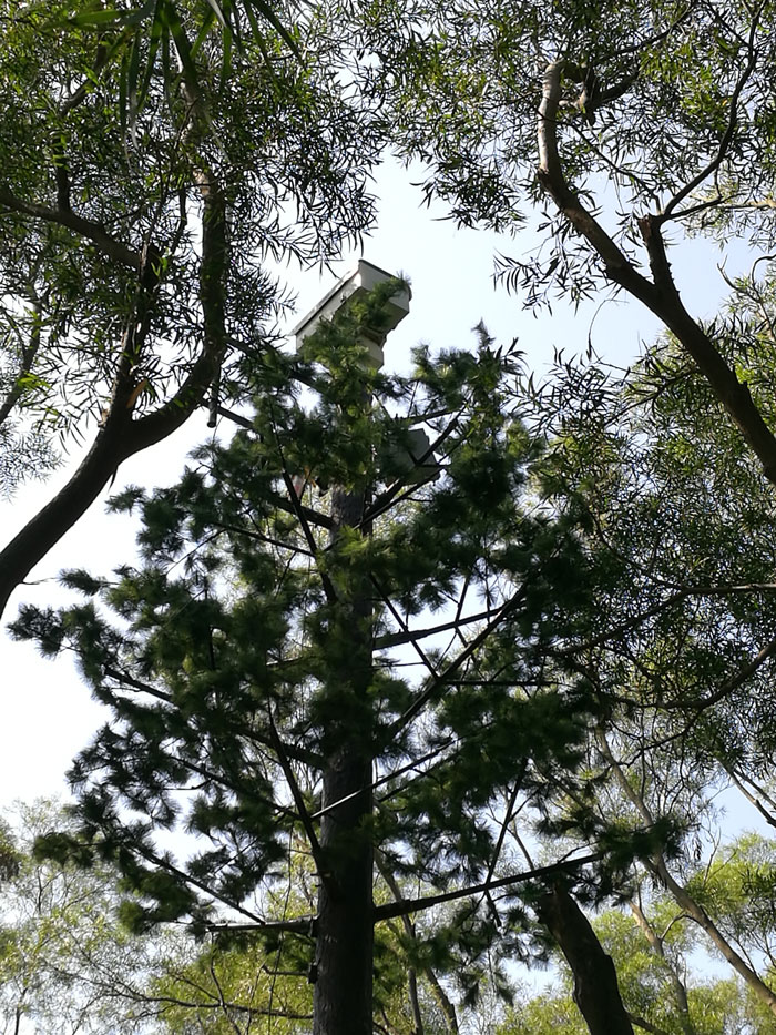 森林草原防火视频监控